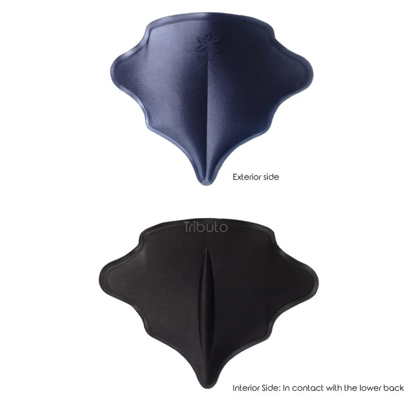Royal Back Board (Lumbar Molder)